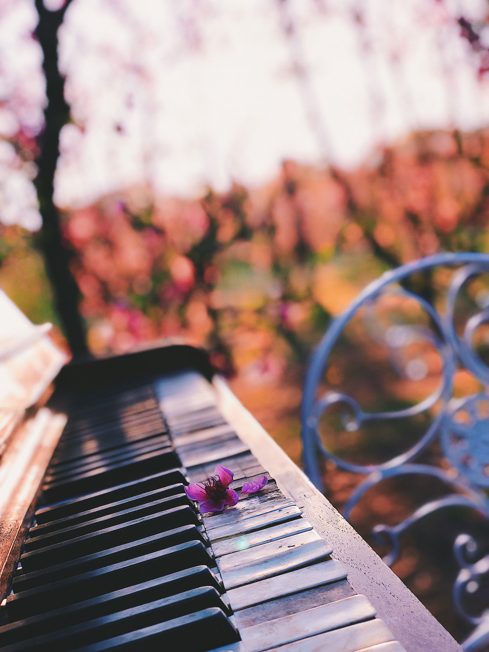 Elevate Your Musical Journey with Private Piano Lessons in Utah at Volz Piano