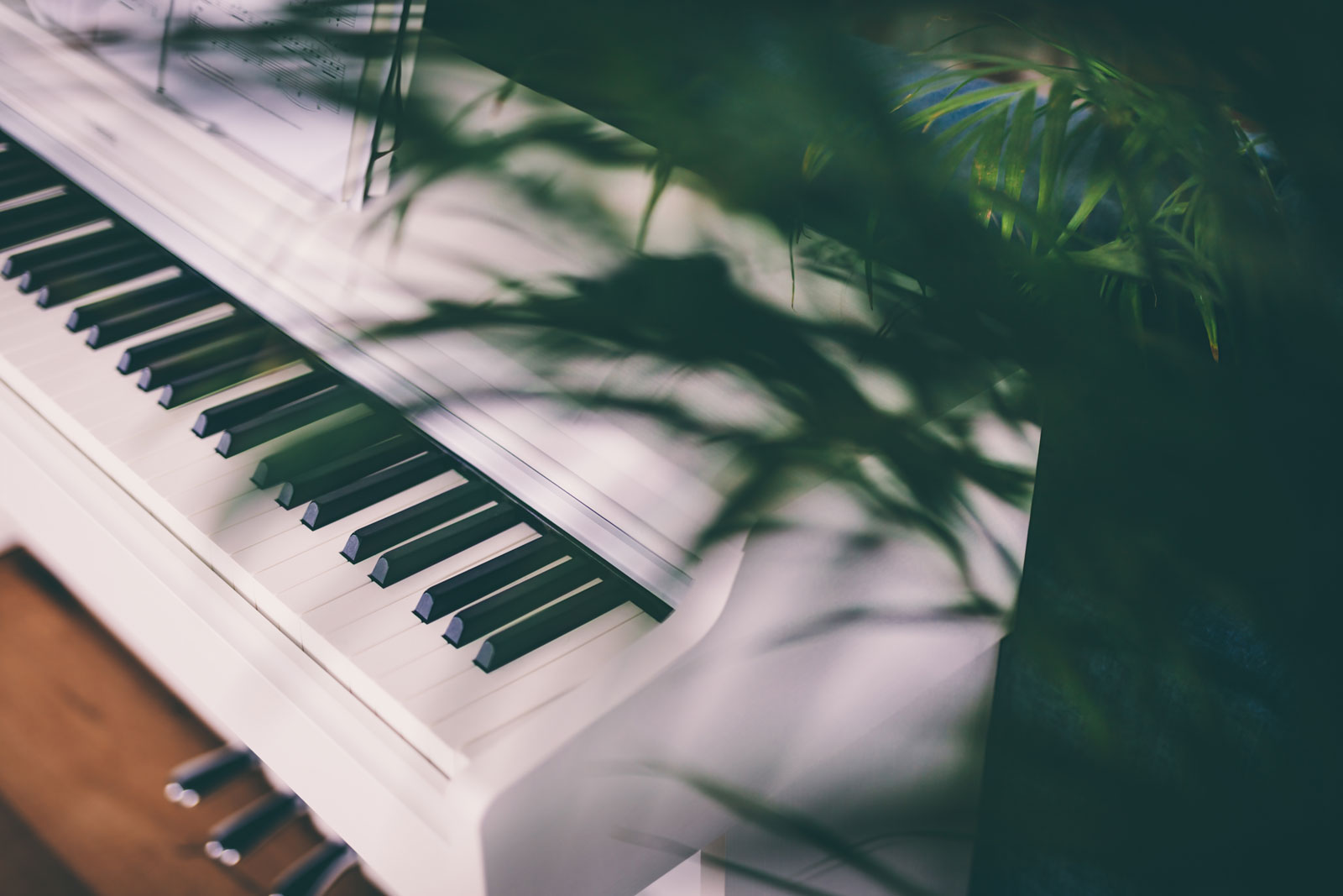 Master the Art of Piano with Sandy Piano Lessons at Volz Piano